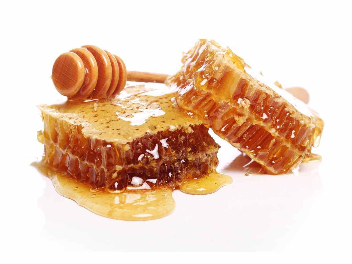 Гречишный мёд в сотах